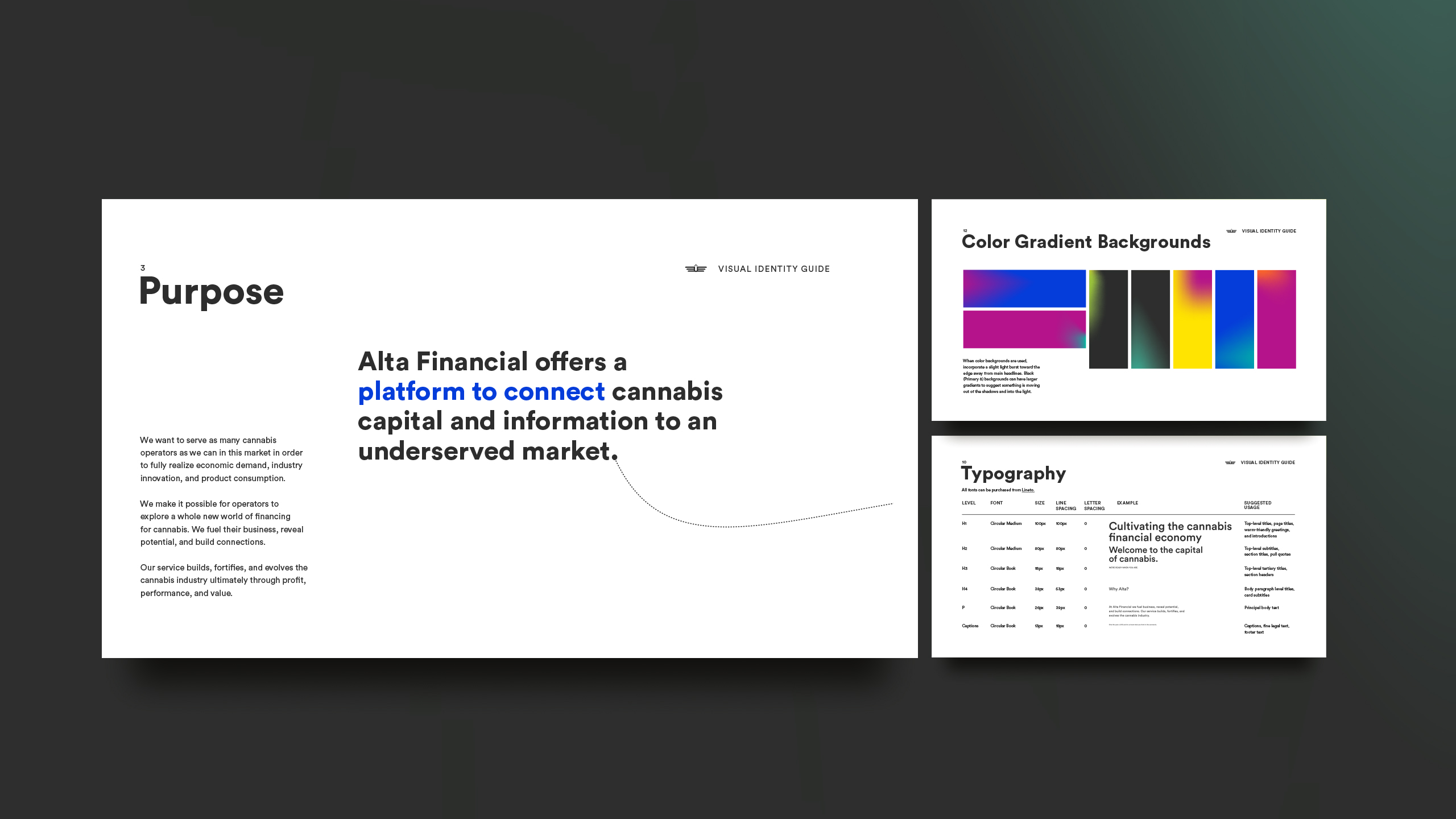 Alta Financial brand standards detail
