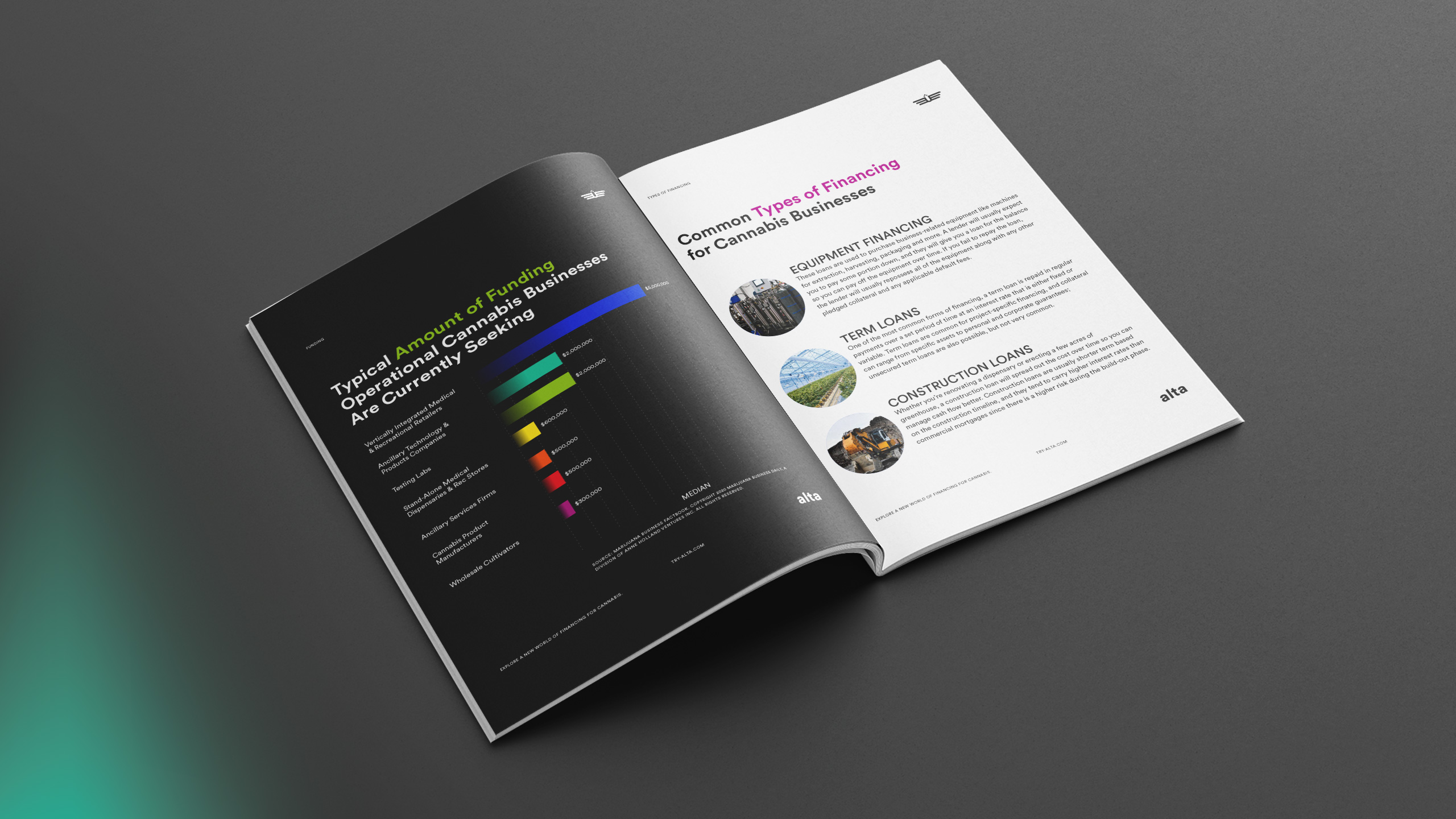 Alta Financial tripwire landing page