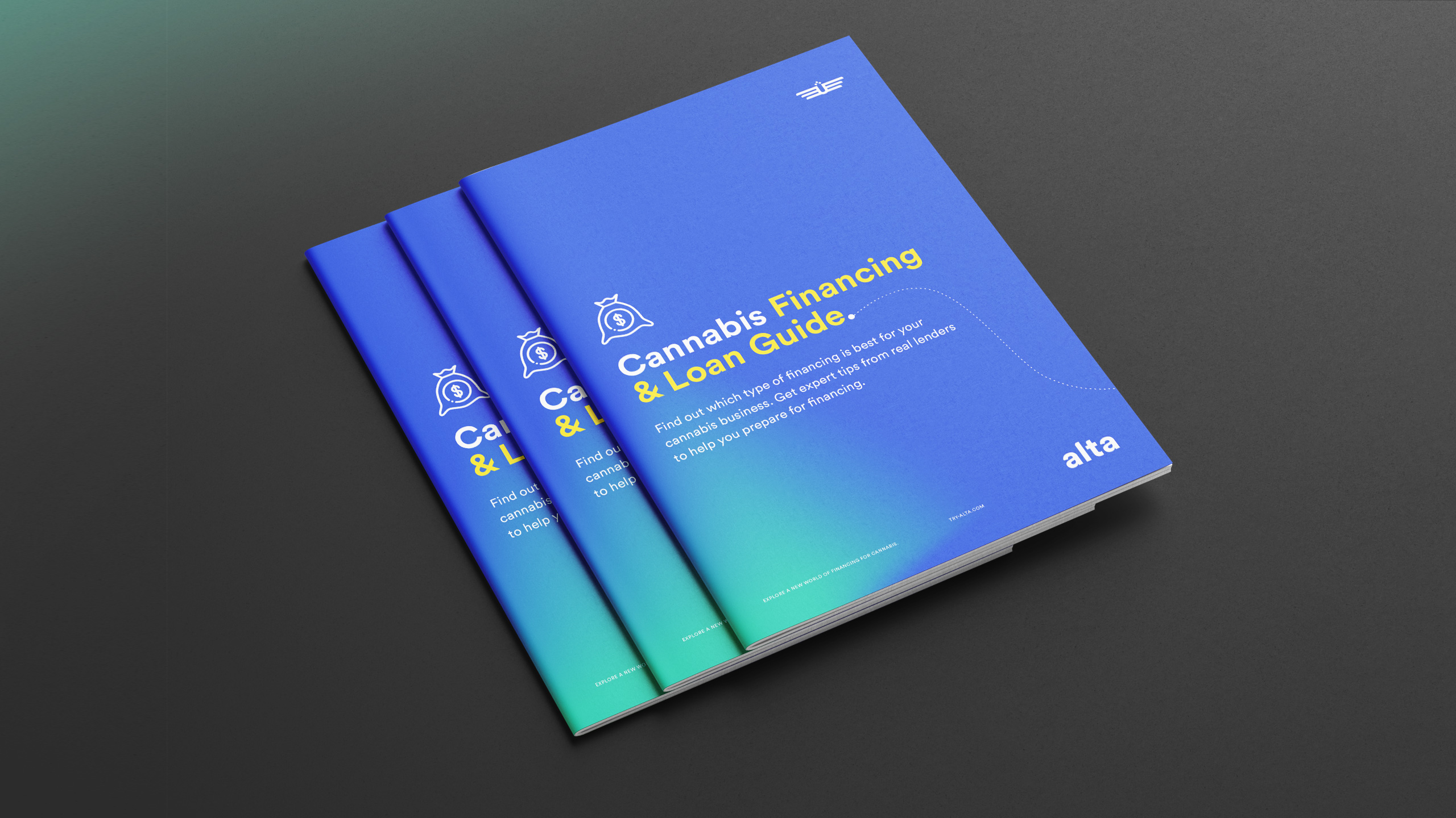 Alta Financial lead generation campaign