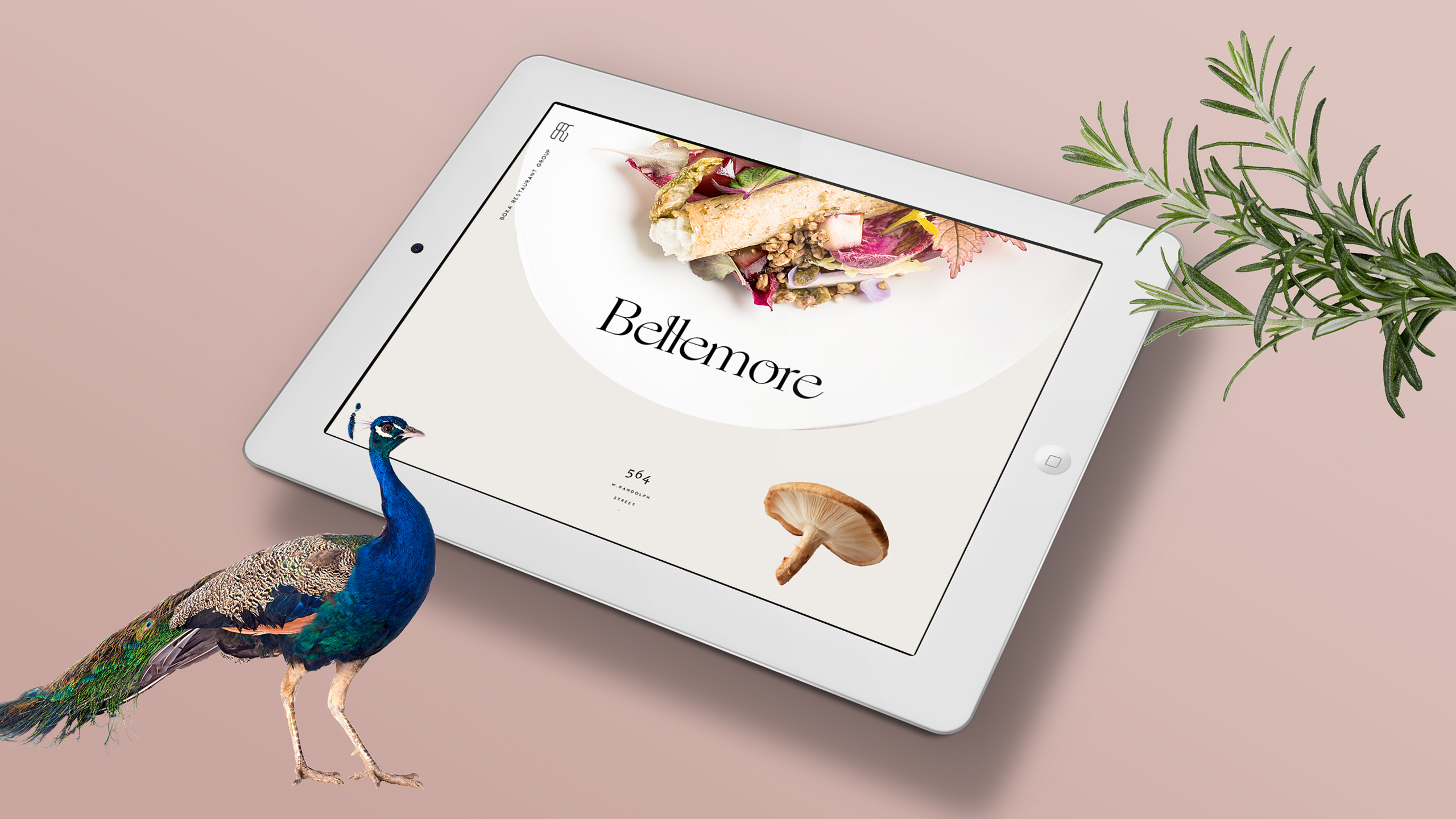 Bellemore website design